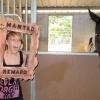 Angel loves to be in the mix of the party. Stalls inside Barn 