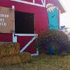 Petting Zoo barn