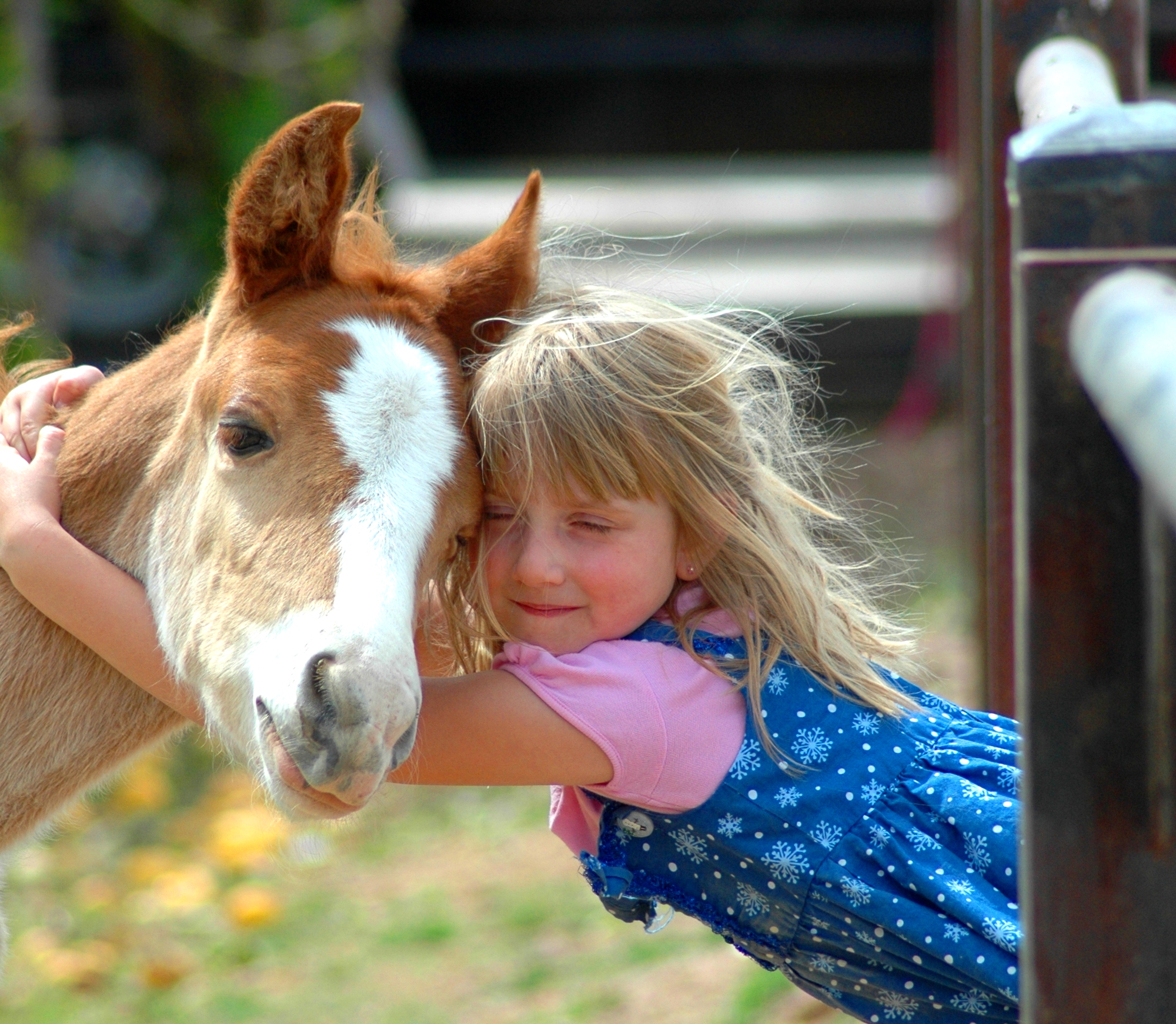 Your charming. Ребенок обнимает лошадь.