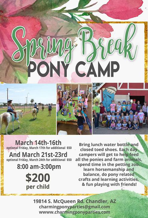 Pony Camp