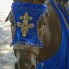 Knight Pony awaits his Royal riders